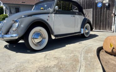 Vw-beetle-1962-grey-4