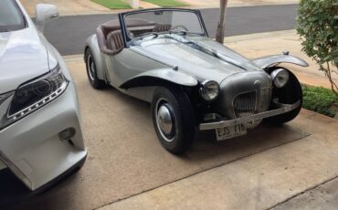 Vw-beetle-1965-silver-1