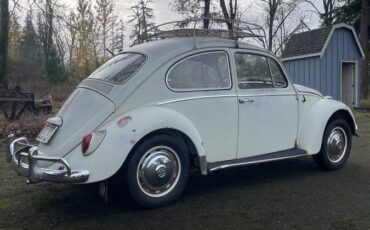 Vw-beetle-1966-7