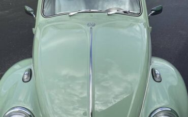 Vw-beetle-1968-green-1