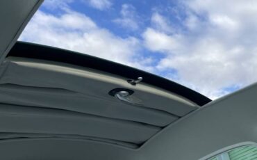 Vw-beetle-1968-green-14