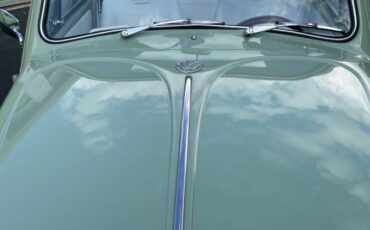 Vw-beetle-1968-green-16