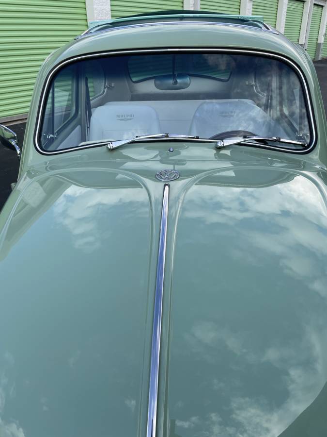 Vw-beetle-1968-green-16