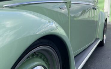 Vw-beetle-1968-green-19