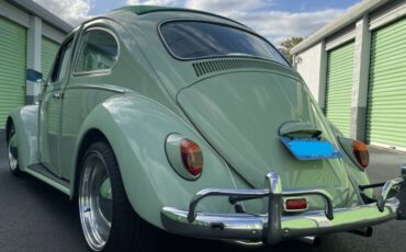 Vw-beetle-1968-green-3