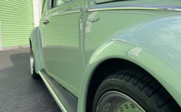 Vw-beetle-1968-green-4
