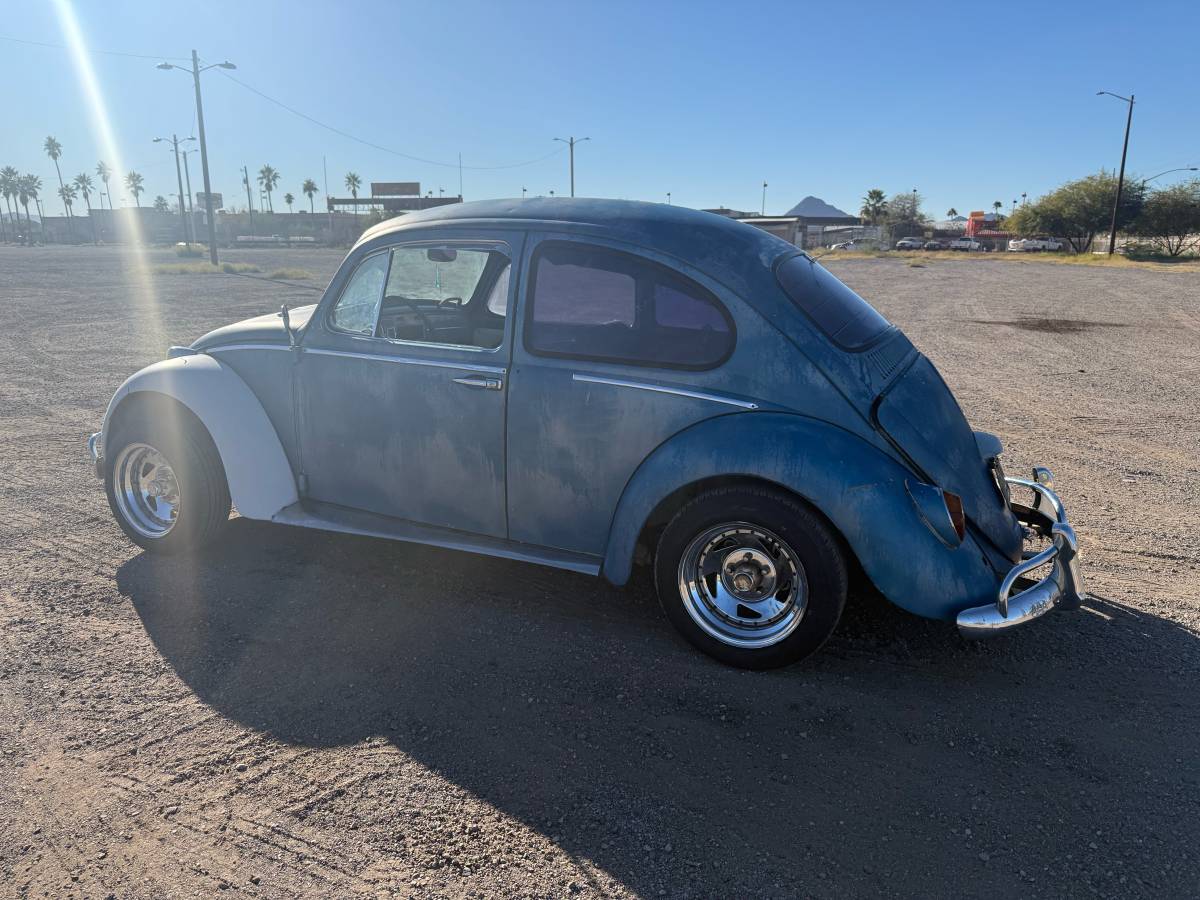 Vw-bug-1965-blue