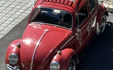 Vw-bug-1965-red-1