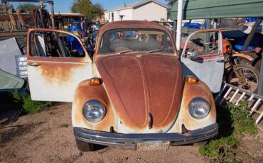 Vw-bug-1970-blue