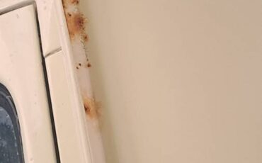 Vw-kombi-bus-1974-green-18