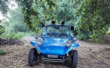 Vw-manx-buggy-1965-blue-3