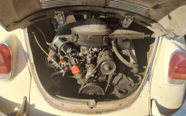 Vw-super-beetle-1971-yellow