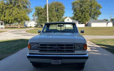 Western-snow-plow-on-ford-f150-xlt-1988-white-8