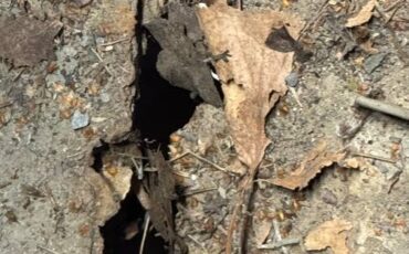 Willys-jeep-1959-green-17