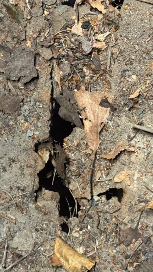 Willys-jeep-1959-green-17