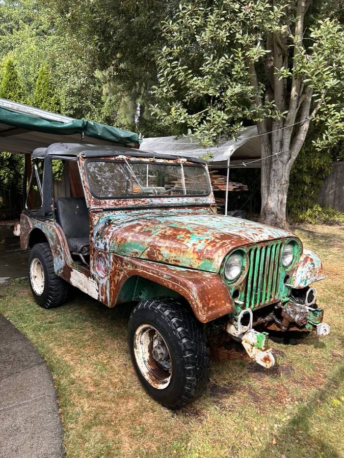 Willys-m38a1-1953-green-26