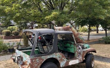 Willys-m38a1-1953-green-27