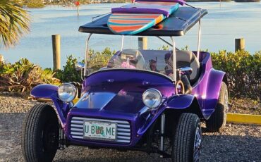 1970s-vw-beetle-dunebuggy-1965-purple-4