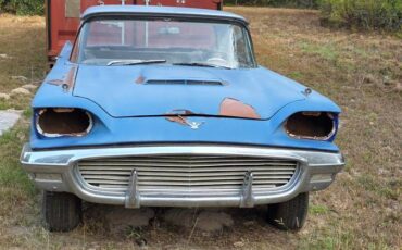 59-ford-thunderbird-1959-blue-3