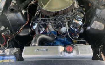 66-mustang-1966-green-1