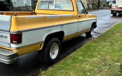 79 chevy scottsdale c-20 1979