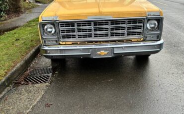 79-chevy-scottsdale-c-20-1979-yellow-8
