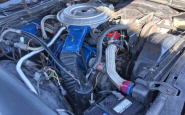 79-ford-ranchero-1979-grey-17