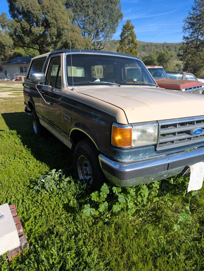 91-bronco-1991-green