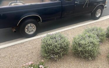 96-f-250-diesel-1996-blue-2