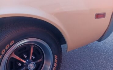 AMC-AMX-1969-Coupe-12