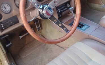 AMC-AMX-1969-Coupe-13