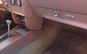 AMC-AMX-1969-Coupe-14