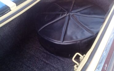 AMC-AMX-1969-Coupe-19