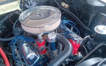 AMC-AMX-1969-Coupe-24