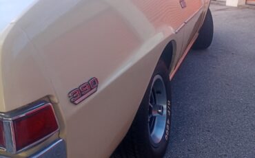 AMC-AMX-1969-Coupe-28