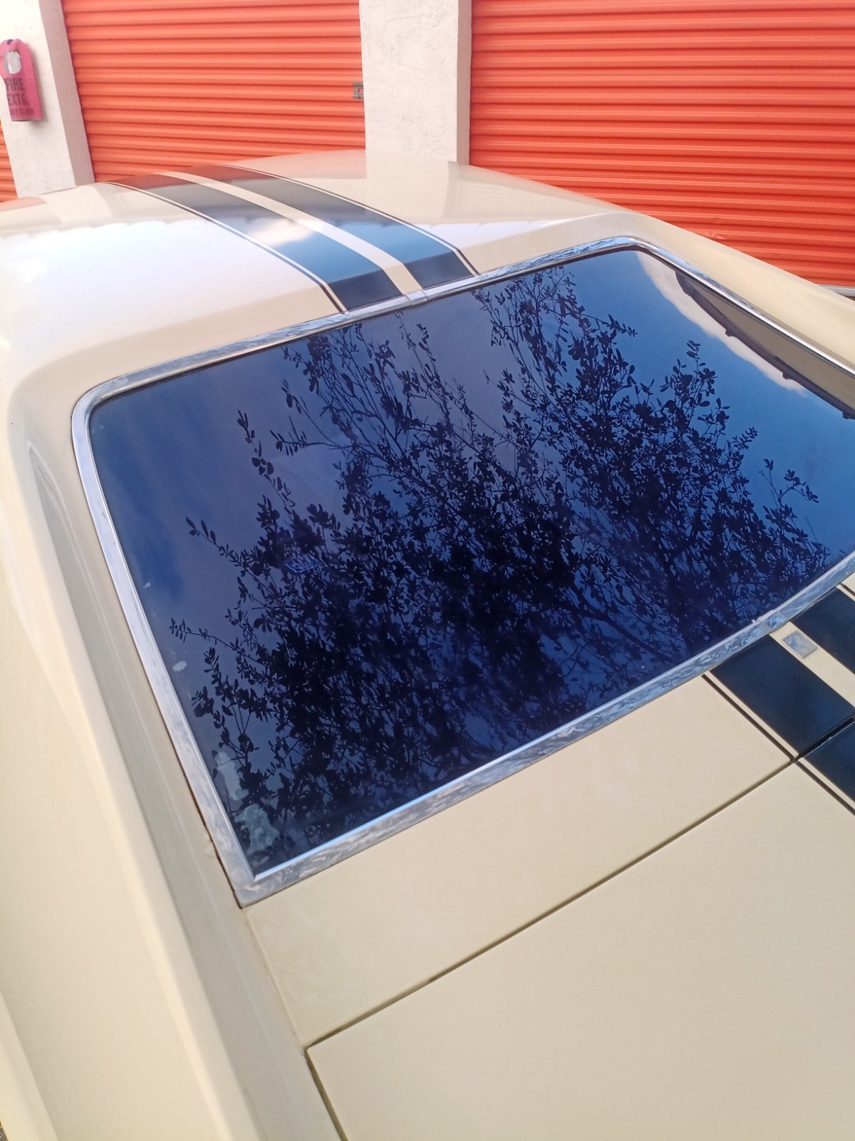 AMC-AMX-1969-Coupe-29