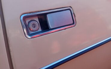 AMC-AMX-1969-Coupe-6