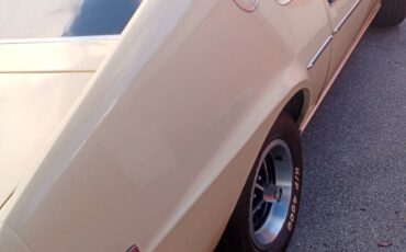 AMC-AMX-1969-Coupe-9