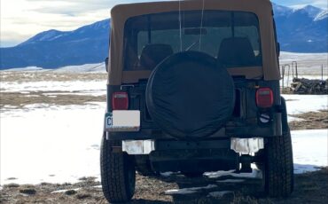 AMC-CJ-1985-Utility-1