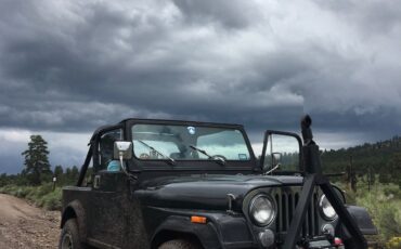 AMC-CJ-1985-Utility-12