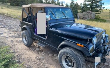 AMC-CJ-1985-Utility-8