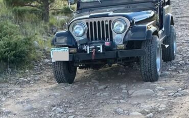 AMC-CJ-1985-Utility-9