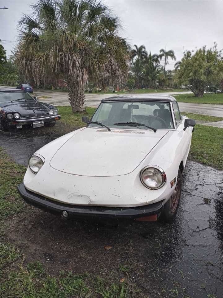 Alfa-Romeo-Spider-1978-2