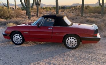 Alfa-romeo-Quadrifoglio-1986-Red-Gray-1