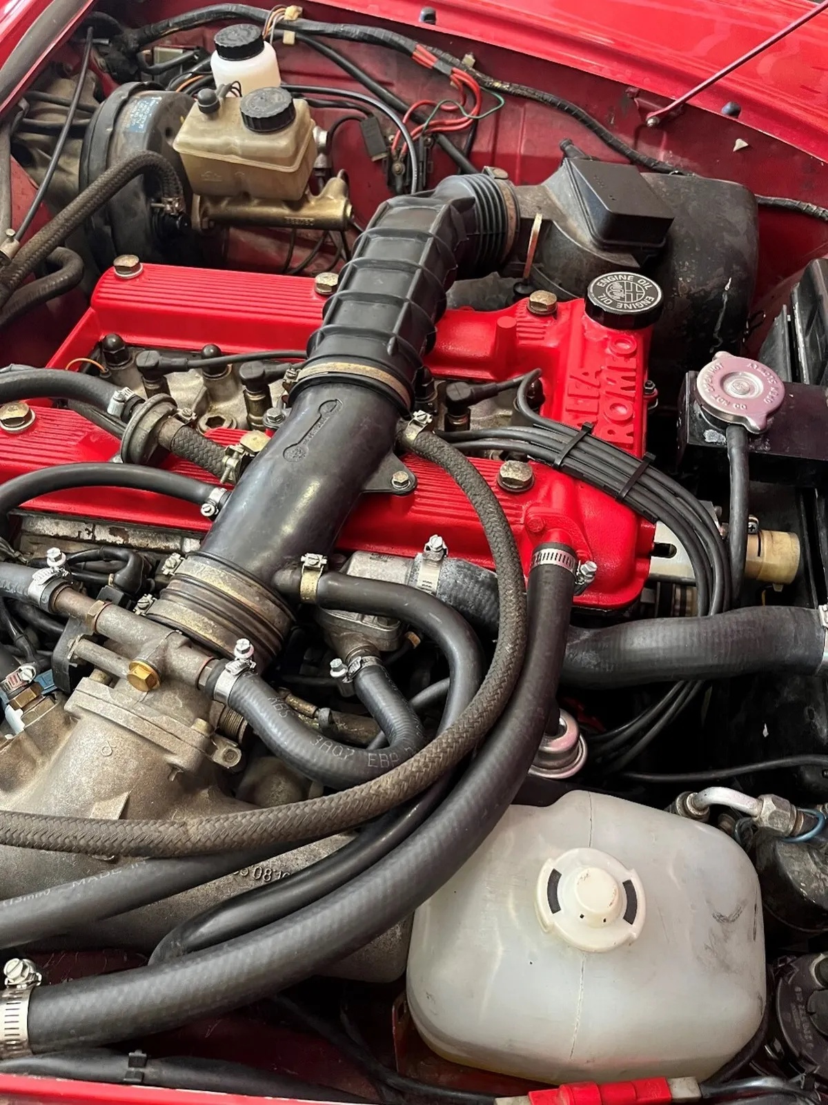 Alfa-romeo-Quadrifoglio-1986-Red-Gray-7