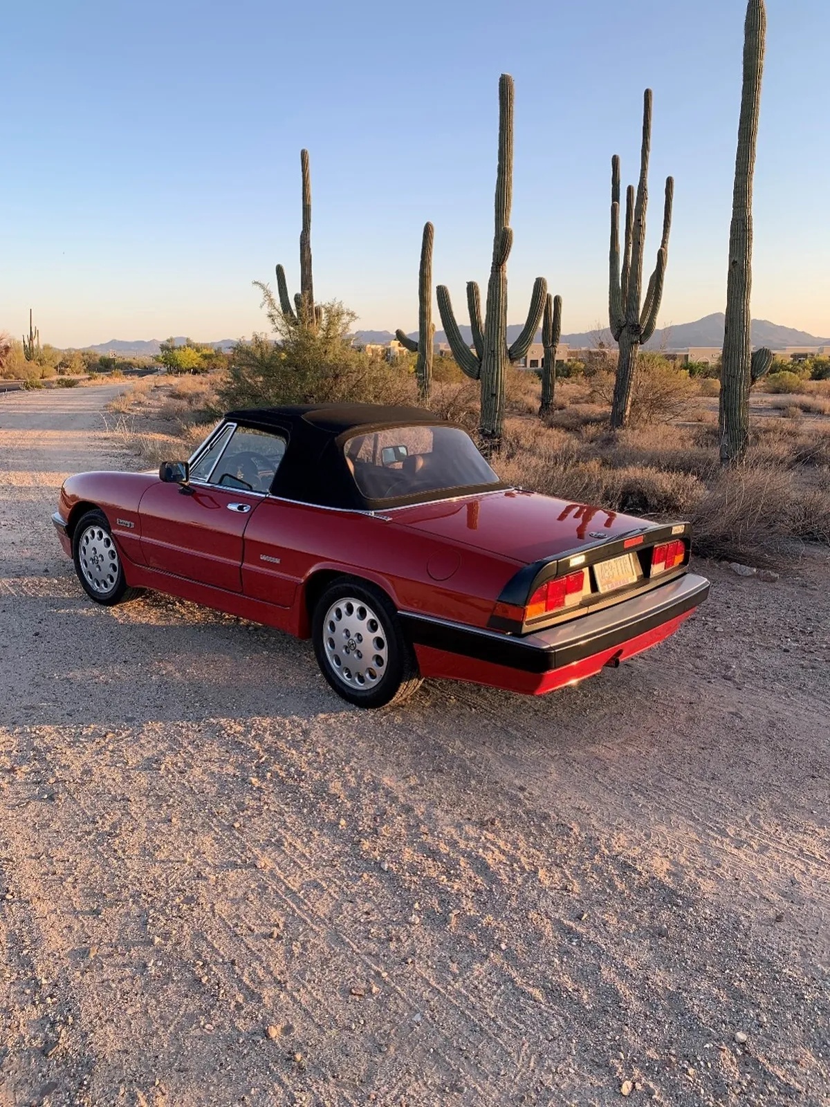 Alfa-romeo-Quadrifoglio-1986-Red-Gray