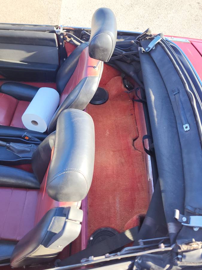 Alfa-romeo-spider-quadrifoglio-1986-11