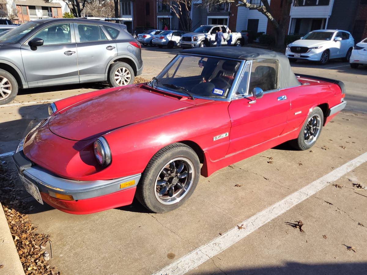 Alfa-romeo-spider-quadrifoglio-1986-3
