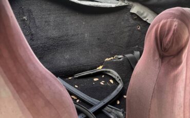 Alpha-romeo-spider-graduate-1987-3