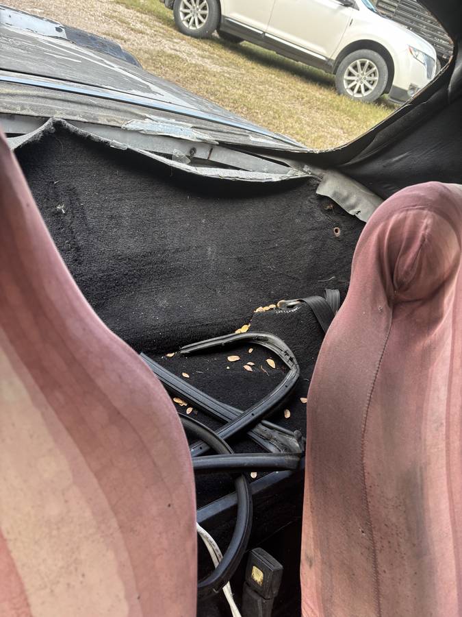 Alpha-romeo-spider-graduate-1987-3